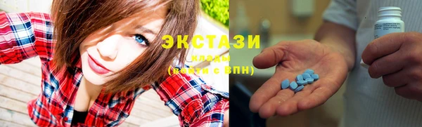 индика Володарск