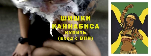ГАЛЛЮЦИНОГЕННЫЕ ГРИБЫ Вязники