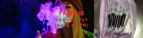 индика Володарск