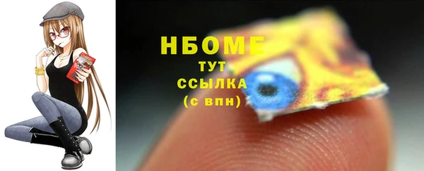 индика Володарск