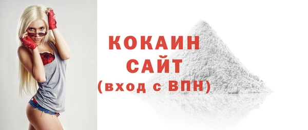 индика Володарск