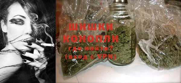 индика Володарск