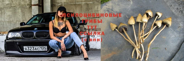 а пвп мука Верея