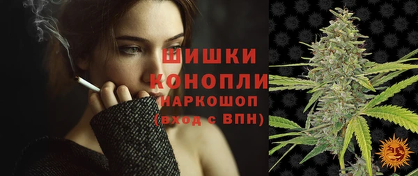 ГАЛЛЮЦИНОГЕННЫЕ ГРИБЫ Вязники