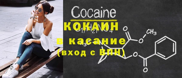 индика Володарск