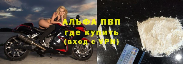 ГАЛЛЮЦИНОГЕННЫЕ ГРИБЫ Вязники